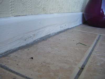 Rising dampness causing wet rot to skirting board